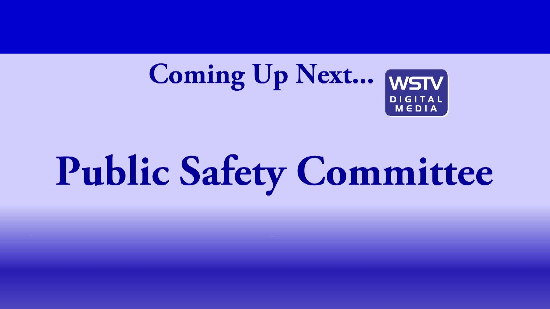 Thumbnail image for Public Safety Committee Meeting January 11 2021