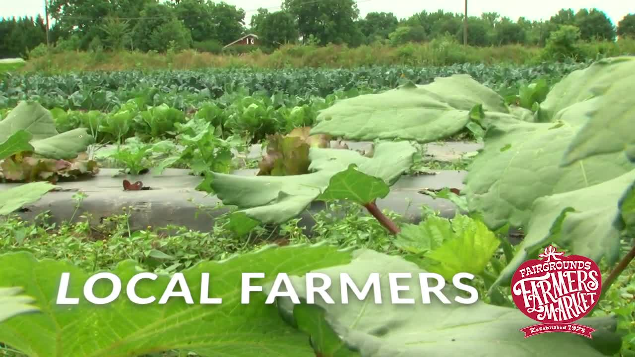 Thumbnail image for GENERIC Farmers Market